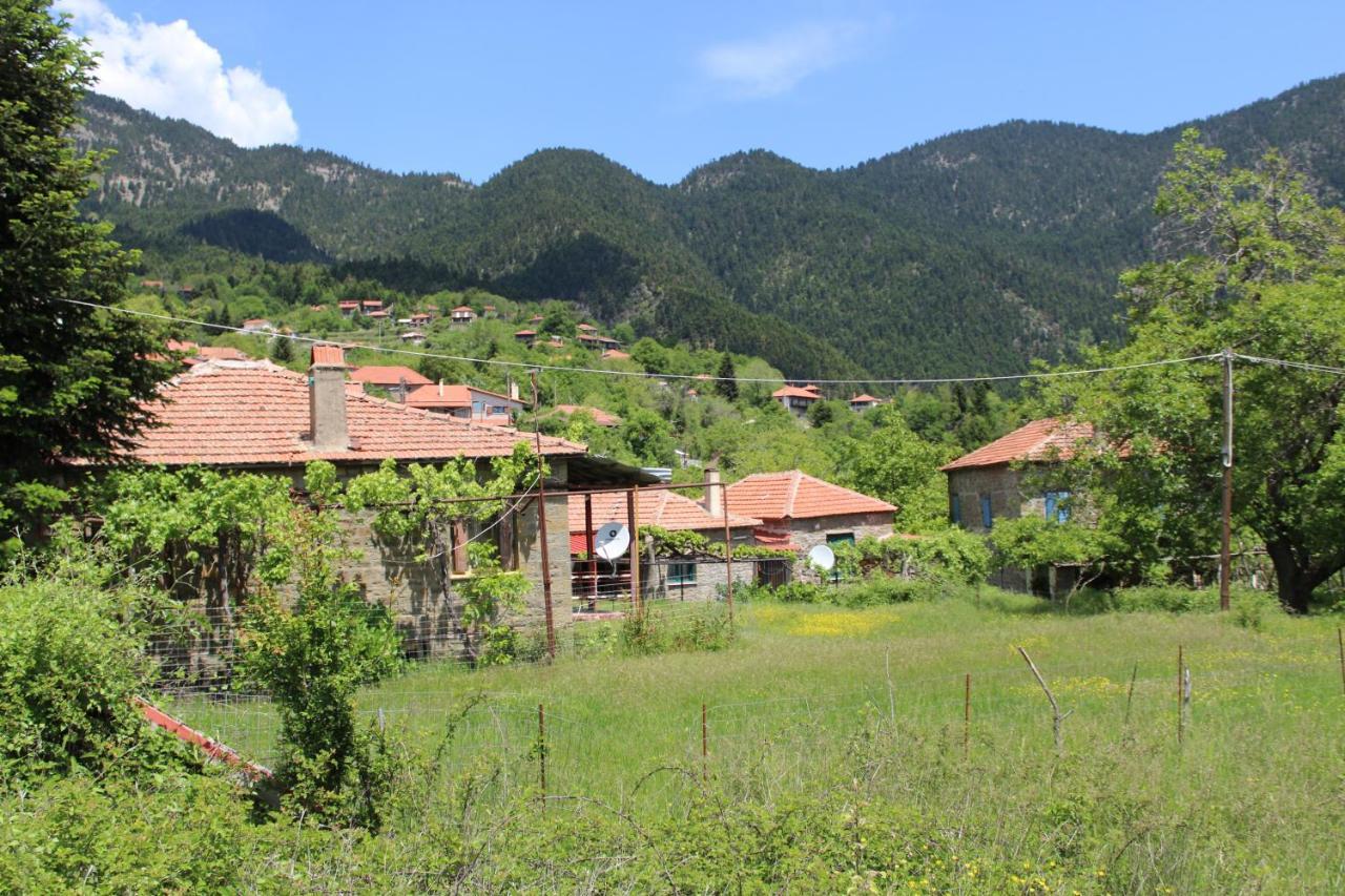 Elatou Hotel Ano Chora Eksteriør billede